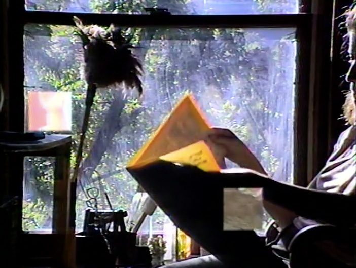 Still from Lynne Sachs's Window Work: a person reading by a window