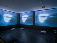 Signal into Memory