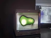 Signal into Memory